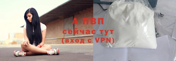 гашик Сосновоборск