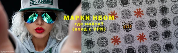 ГАЛЛЮЦИНОГЕННЫЕ ГРИБЫ Белокуриха