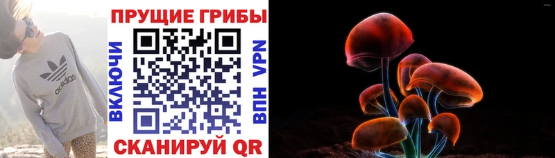MEGA Верхняя Пышма Псилоцибиновые грибы Cubensis закладка