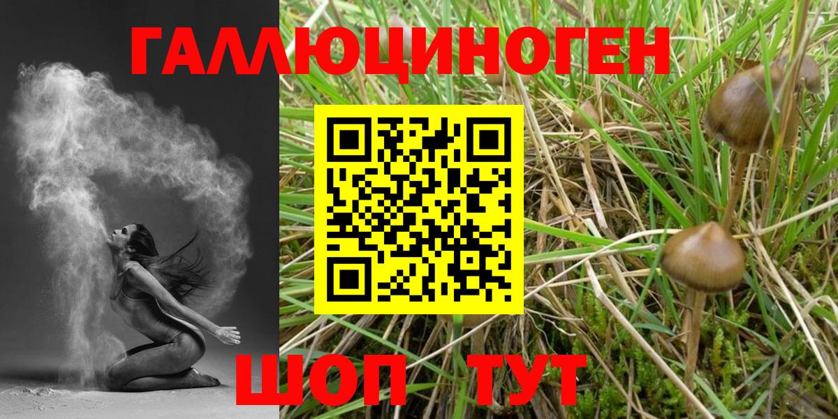 Галлюциногенные грибы GOLDEN TEACHER  Псилоцибиновые грибы MAGIC MUSHROOMS  купить  цена  Верхняя Пышма 